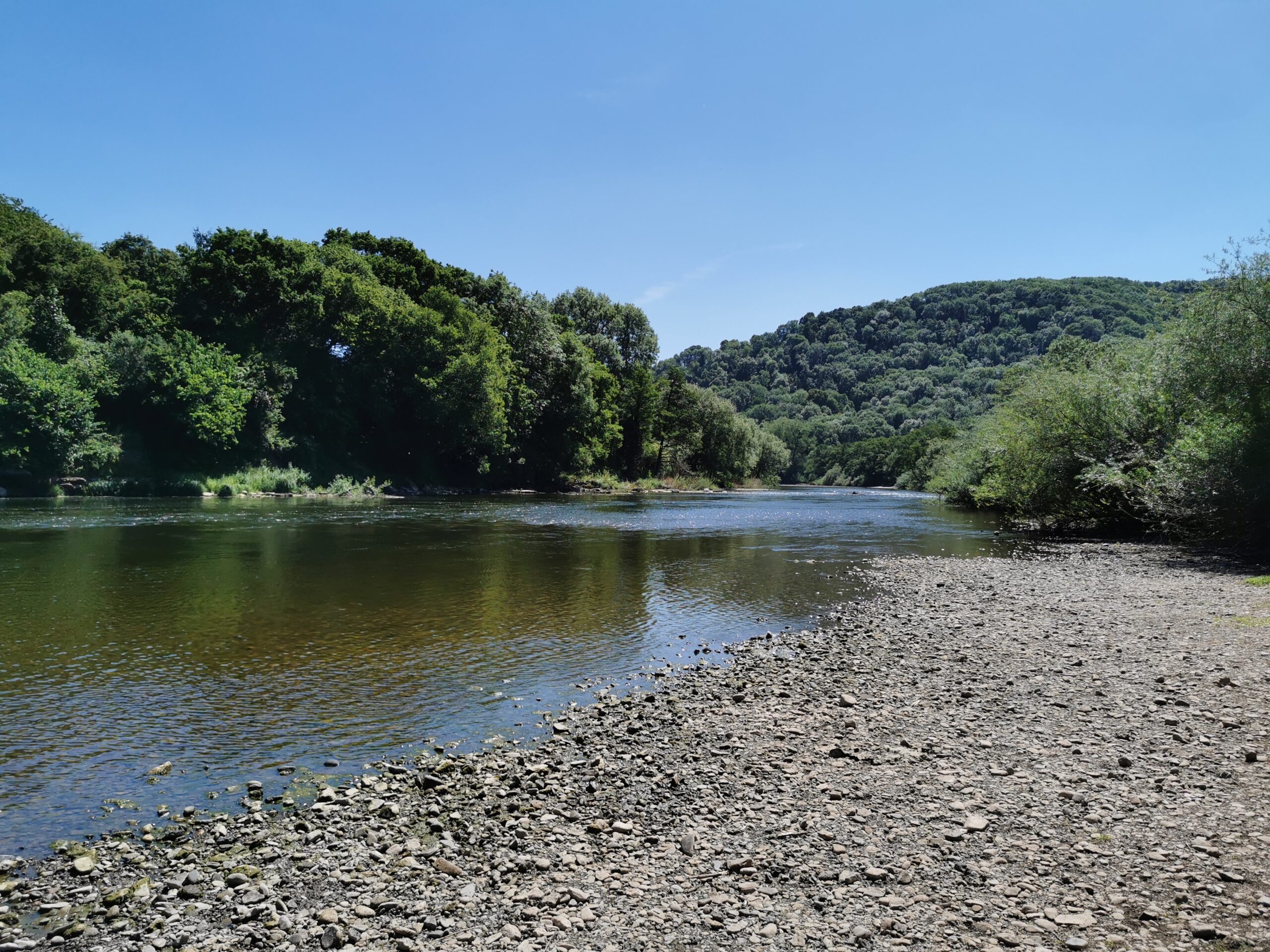 A rocky beach next to a river with green trees on the opposite bank.
