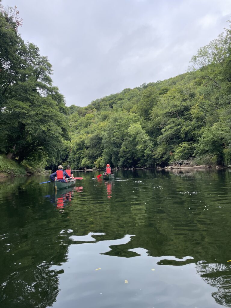 Two canoes on a river surrounded by luscious green trees on either bank.